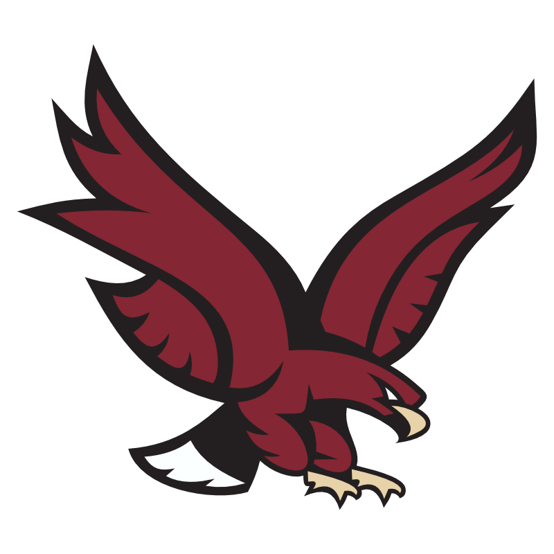 Hawks mascot logo